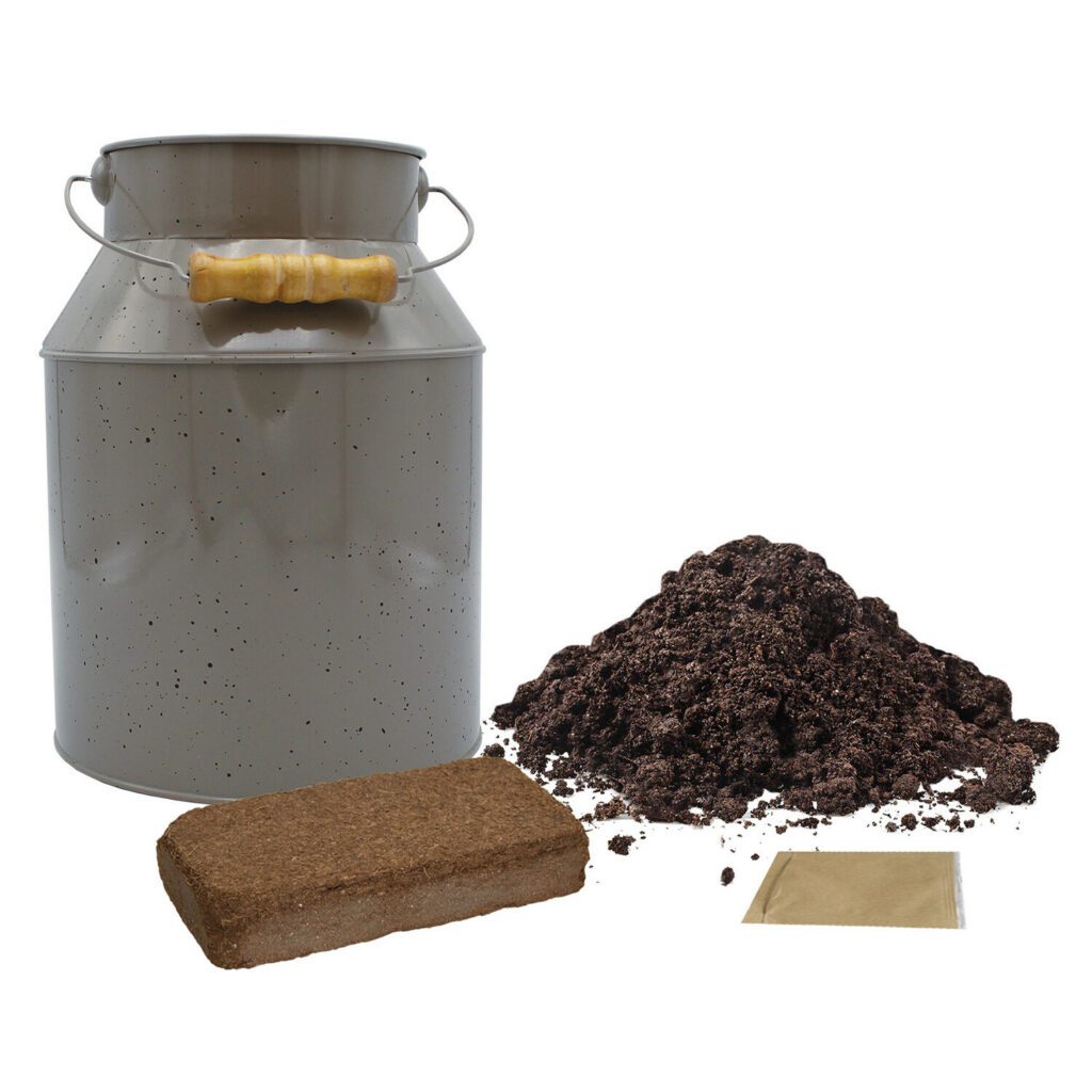 Beautifluer Milkchurn Planter Sweet Pea Seed Grow Kit 5055128622813 2